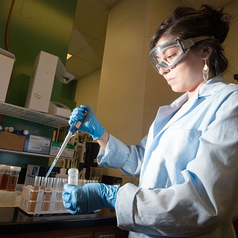 Student conducting research