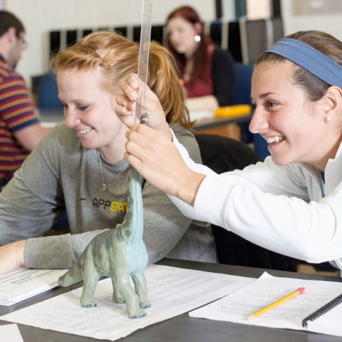 Undergraduate Program Areas & Majors
