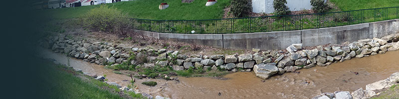 Boone Creek Banner