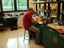 Jonathan working at the bench in lab