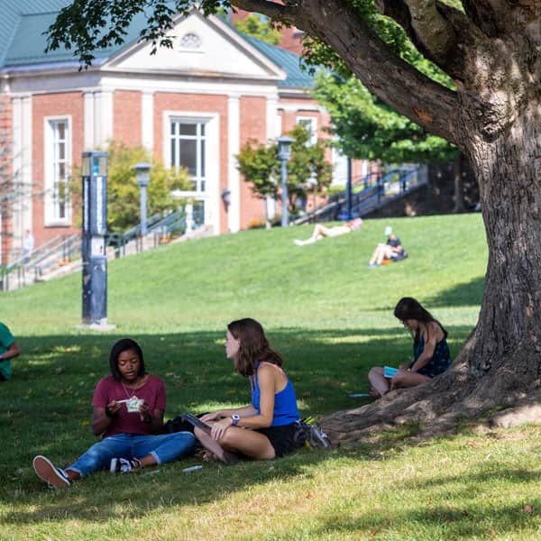 Undergraduate Admissions