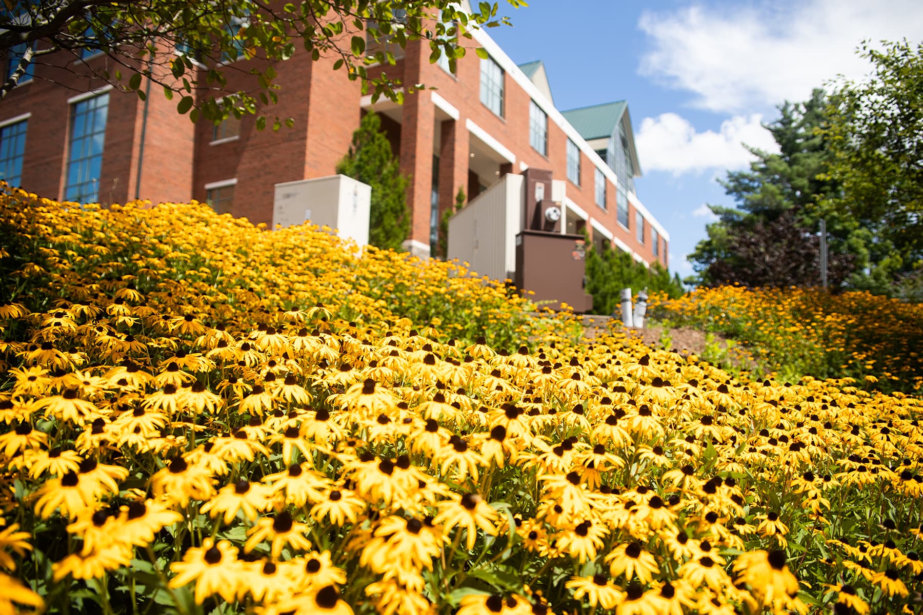 Campus Scene