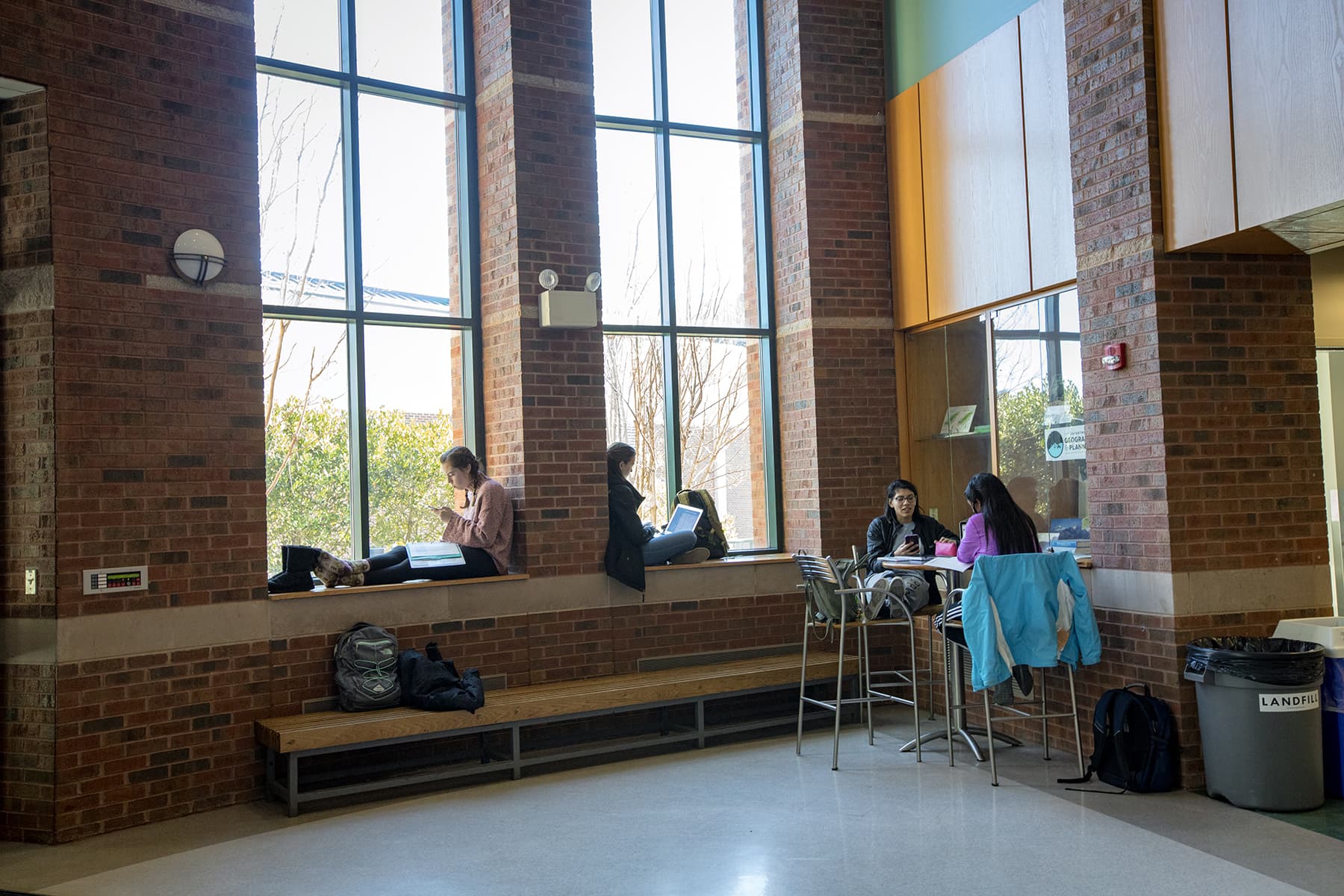 Studying in Rankin Hall