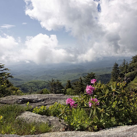 mountain view