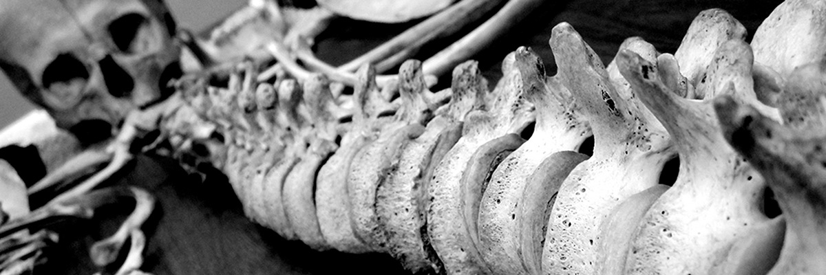 Risultati immagini per anthropology