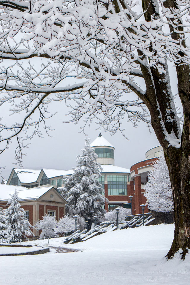 Mobile Background: Snowy Campus