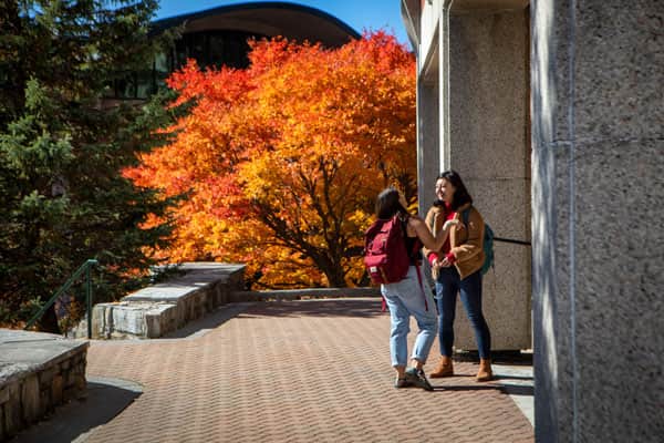 Students on fall campus