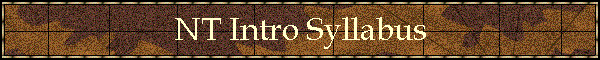 NT Intro Syllabus