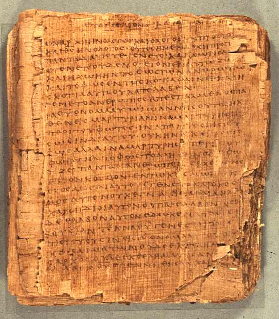 Image of papyrus