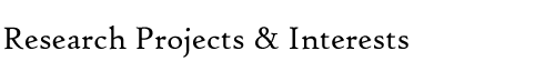 Research Projects and Interests