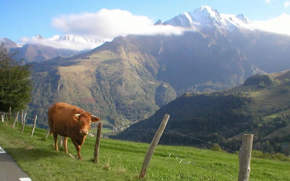 Pyrenees scene