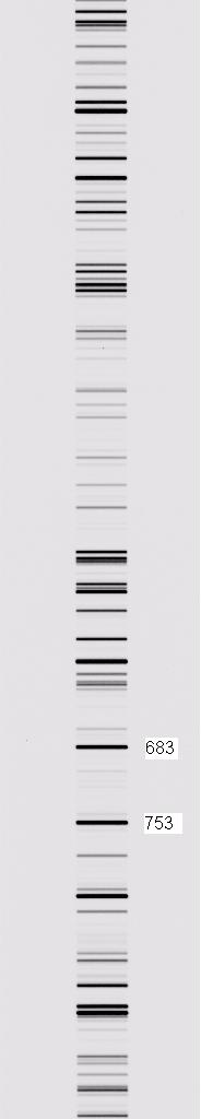 1000g/mm comparison spectrum