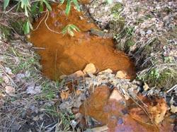 Metal impacted stream