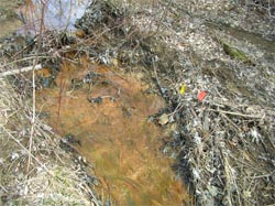 unimpacted stream