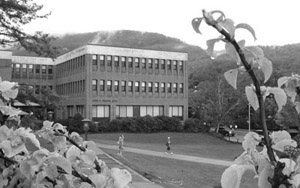 Please include alt text
              describing your images.